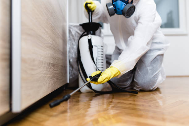 Best Cockroach Control Services  in Washington, GA