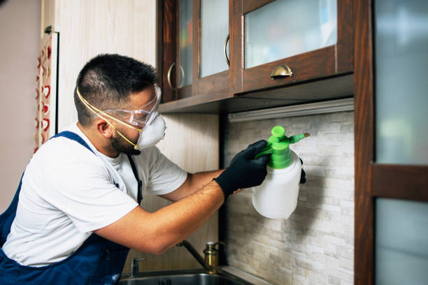 Best Residential Pest Control  in Washington, GA