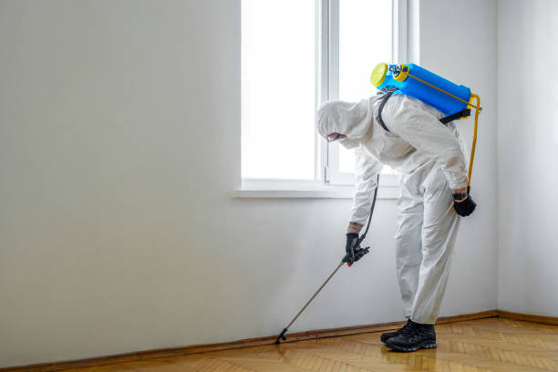 Best Flea Control Services  in Washington, GA