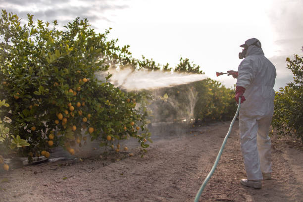 Best Pest Control Near Me  in Washington, GA