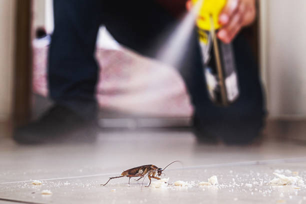 Reliable Washington, GA Pest Control Solutions