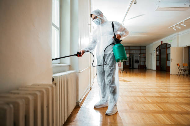 Best Local Pest Control Services  in Washington, GA