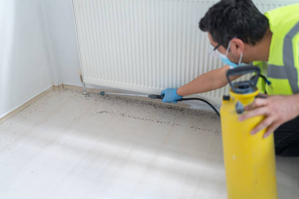 Pest Control Cost in Washington, GA